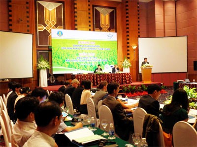 Huy động nguồn tài trợ quốc tế để xây dựng nông thôn mới ở Việt Nam  - ảnh 1